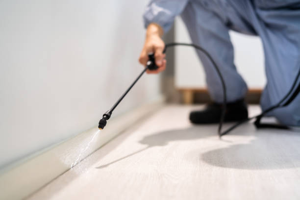 Licensed Pest Control service in Pemberville, OH - Show Me Pest Control