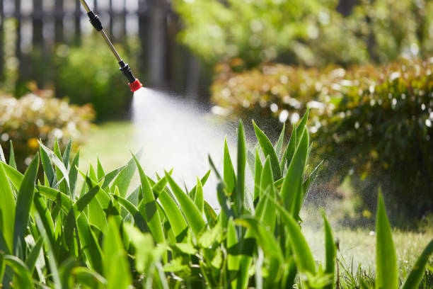 24/7 Emergency Wasp Removal experts in Pemberville, OH