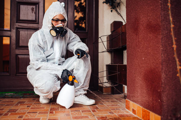 Reliable Wasp Removal contractor in Pemberville, OH by Show Me Pest Control